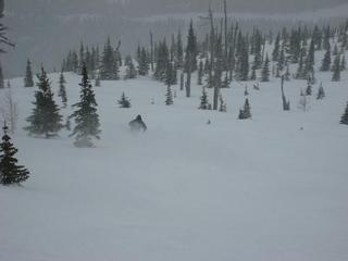 Castle Mountain's Drifter steepens as it descends. (photo: FTO/Tony Crocker)