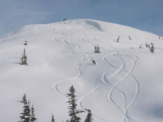 'Tree skiing' - Chugach style.