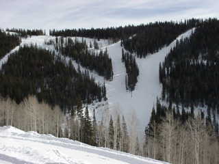 Help and Born to Be Wild showcase some of the steeper terrain at Elk Meadows