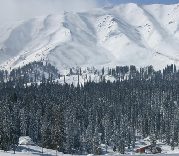 Gulmarg's gondola ascends 4,364 vertical feet from the village on a shelf in the Pir Pinjals to 13,058 feet on Mt. Apharwat, with ski and snowboard terrain draped below. (photo: SkiHimalaya.com)
