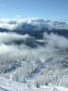 Mt. Washington's steep Powder Face lies near the resort's summit. (Photo: Mt. Washington Alpine Resort)