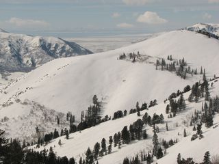 Powder Mountain's Powder Country. (photo: FTO/Marc Guido)