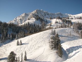 Snowbasin consists of a series of ridges and canyons that offer a playground that would literally take days to explore. (photo: FTO/Marc Guido)