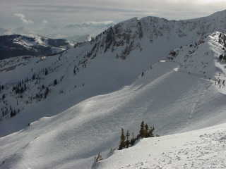 The view from Snowbird's Hidden Peak, looking into Mineral Basin. (photo: Marc Guido/First Tracks!! Online)