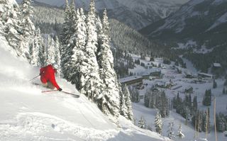 (photo: Sunshine Village)