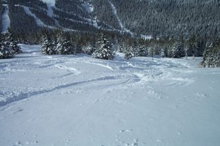 Goatchicken Glade (photo: FTO/James Michaud)