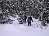 Shoeshoeing through the trees (photo: FTO/Kevin Gawenus)