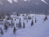 Open glades at the top of Siwash at Castle Mountain (photo: FTO/Kevin Gawenus)