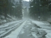 On Monday, Lee Canyon, Nev., home to Las Vegas Ski & Snowboard Resort, received its first snowfall of the season. The resort closed for its summer season just the day before. The temperature dropped from 60 degrees to 37 degrees in just 15 minutes as rain, hail, sleet and then finally snow covered the ground.  (photo: LVSSR)
