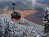 Snowliage at Stowe (photo: Stowe Mountain Resort)