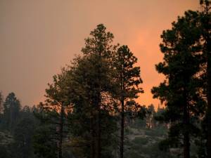 New Mexico's Las Conchas wildfire makes a run at the Pajarito ski hill Monday night. (photo: LANL)