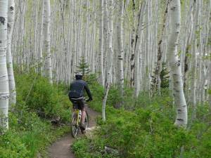 Mountain biking at Utah's Deer Valley Resort (photo: FTO/Todd Copeland)