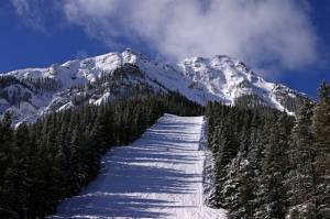 Jagged terrain crowns the groomers off Norquay's Mystic Express lift. (photo: FTO/Kevin Gawenus)