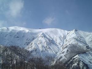 Happo One sidecountry (photo: Tsutomu Shinohara)