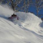 Skiing Niseko's famed powder (photo: NPB)