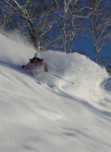 Skiing Niseko's famed powder (photo: NPB)