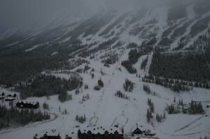 (photo: Kicking Horse Mountain Resort) (photo: Kicking Horse Mountain Resort)