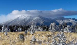 The San Francisco Peaks, home to Arizona Snowbowl. (photo: Tyler Finvold)