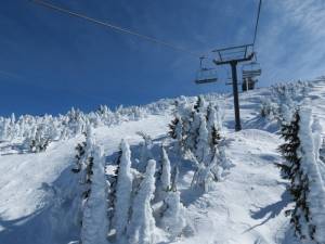 On days when winds keep the Summit Express from running, Mount Bachelor experts in the know head to the resort's Northwest Express (photo: FTO/Marc Guido)