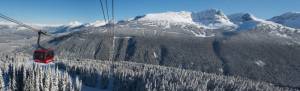 The treed ski runs of Seventh Heaven form the backdrop of this panorama of Whistler Blackcomb's Peak 2 Peak Gondola. (photo; Whistler Blackcomb/Ryan Reggie Robinson/coastphoto.com) The treed ski runs of Seventh Heaven form the backdrop of this panorama of Whistler Blackcomb's Peak 2 Peak Gondola. (photo; Whistler Blackcomb/Ryan Reggie Robinson/coastphoto.com)