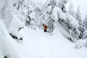 The Bolton Valley Backcountry (photo: Vermont Land Trust / Broudy/Donohue Photography)