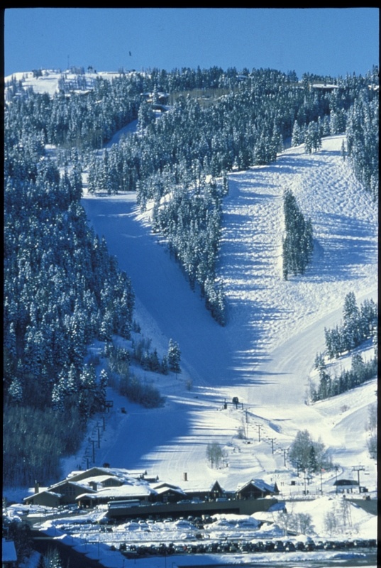Skier Hits Tree  Dies Deer Valley First Tracks   Online Ski Magazine