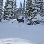 The author enjoys steep trees and fresh powder at White Grizzly (photo: Karl Weatherly)