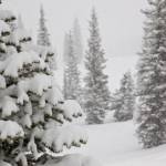 Glades at Snowmass (file photo: Jeremy Swanson)