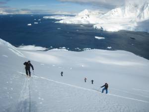 Sales of alpine touring gear are blossoming, according to a report released this week by SIA. (location: Chiriguano Bay, Brabant Island, Antarctica; photo: FTO/Tony Crocker)