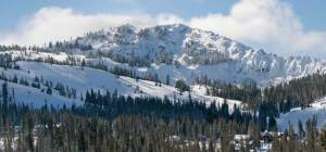 (file photo: Sugar Bowl)