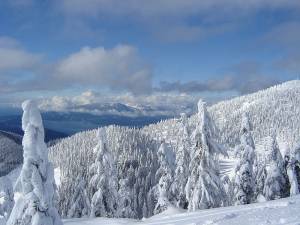 Hollyburn Ridge (photo: Iwona Erskine-Kellie) Hollyburn Ridge (photo: Iwona Erskine-Kellie)