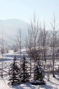 Soldier Hollow (Sarah Brunson/U.S. Ski Team)