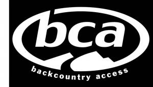 BCA logo