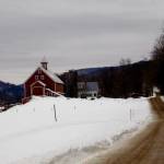 (file photo: Liberty Hill Farm, Rochester, Vt.)