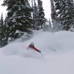 (photo: Great Northern Snowcat Skiing)