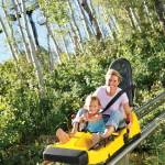 (photo: Snowbird Ski and Summer Resort)