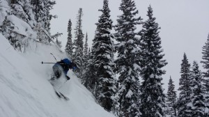 Anyone who has ever skied off Alta's Wildcat chairlift has developed an affinity and appreciation for the Utah ski area's trees. (photo: FTO/Marc Guido; Skier: Matthew Fatcheric)