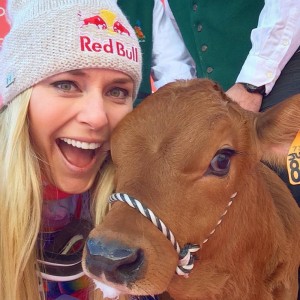 In taking the World Cup downhill win in Val d'Isere, France on Saturday, American ski racer Lindsey Vonn also won a baby cow, naming it Winnie. (photo: Facebook)