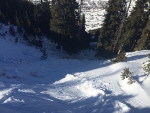 Looking down the path of an avalanche near Silverton, Colo. n Tuesday that killed Olivia Buchanan of Durango, Colo. (photo:   CAIC)