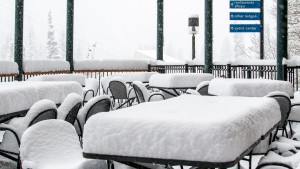 Snowbird reported 17" of new snow from yesterday's storm. (photo: Snowbird Ski & Summer Resort)