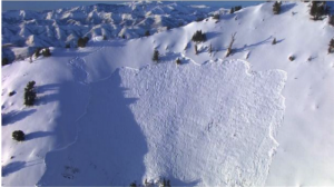 Doug Green's last line on Gobblers Knob. (photo: Utah Avalanche Center)