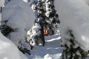 (photo: Lost Trail Ski Area)