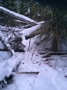 The location where Wright's body was found. (photo: Gallatin County Sheriff's Office)