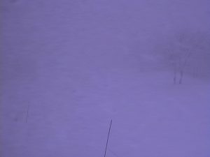 A webcam image at dawn Tuesday from 5,600 feet near the summit of Mt. Kenashi, at Nozawa Onsen Snow Resort in Japan, as authorities prepared to resume their search for four missing Australian skiers. (photo: Nozawa Onsen)