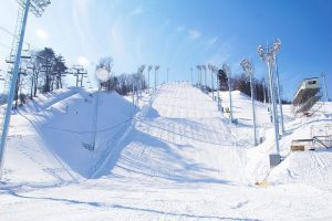 Officials at Bokwang Phoenix Park began preparing the mogul slope last week. (photo: Bokwang Phoenix Park)