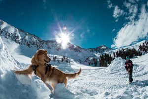 (photo: Arapahoe Basin)