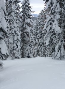 Northstar California (FTO file photo: Tony Seebach)