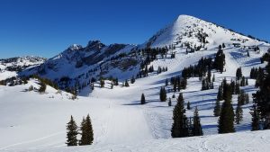 Alta, Utah. (FTO photo: Marc Guido)