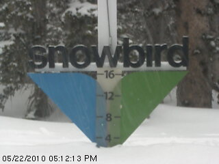 00 snowbird snowcam 100522.jpg