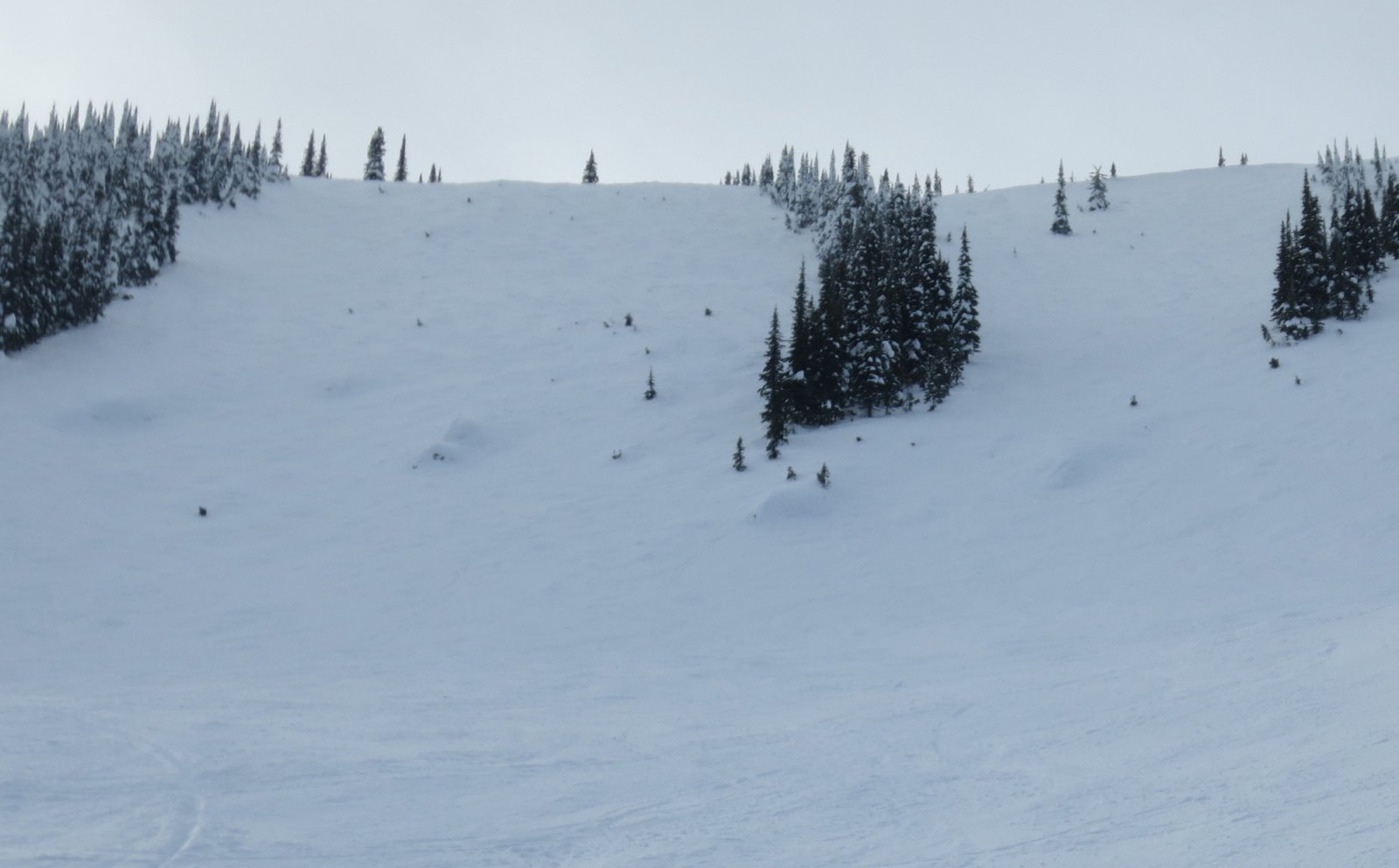 Schweitzer, ID 2/1314/23 Liftlines Skiing and Snowboarding Forums
